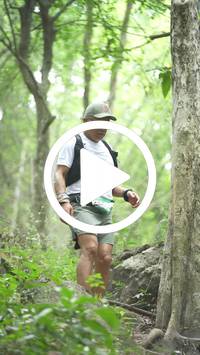 BIB:  <button type="button" onclick="openModal(27935883)" class="btn btn-primary btn-sm float-right" data-toggle="modal" data-target=".modal-high-quality">
                <i class="fa fa-download"></i> Download
                </button>